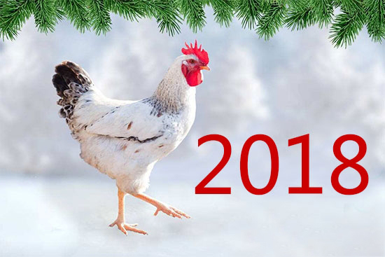 2018B(yng)uИI(y)h(hun)RЩ׃(sh)